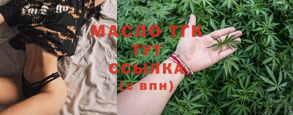 хмурый Инсар
