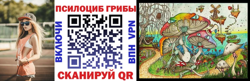 Псилоцибиновые грибы Magic Shrooms Бугульма